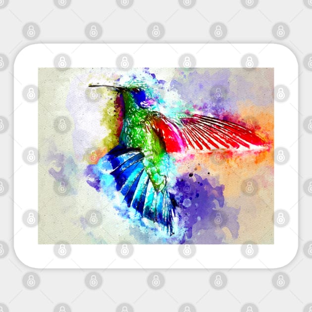 Watercolor Hummingbird Sticker by danieljanda